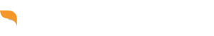 light logo